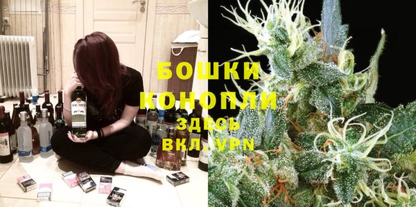метадон Белокуриха