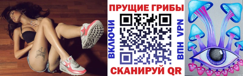 купить наркотик  Болотное  Галлюциногенные грибы Psilocybine cubensis 