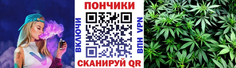 Бошки Шишки Ganja  hydra зеркало  Болотное 